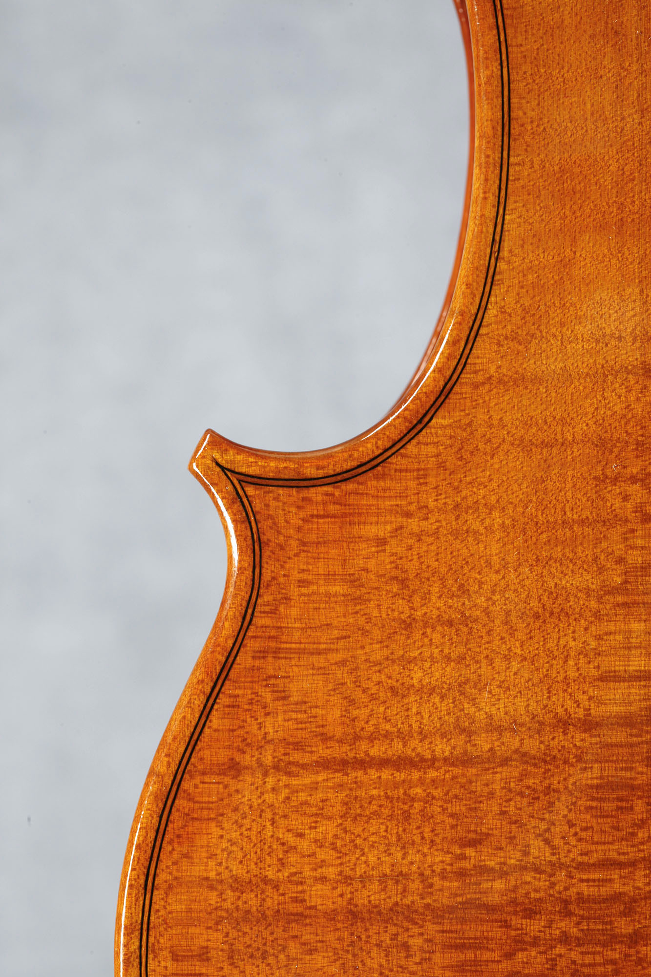 Cecilia González viola