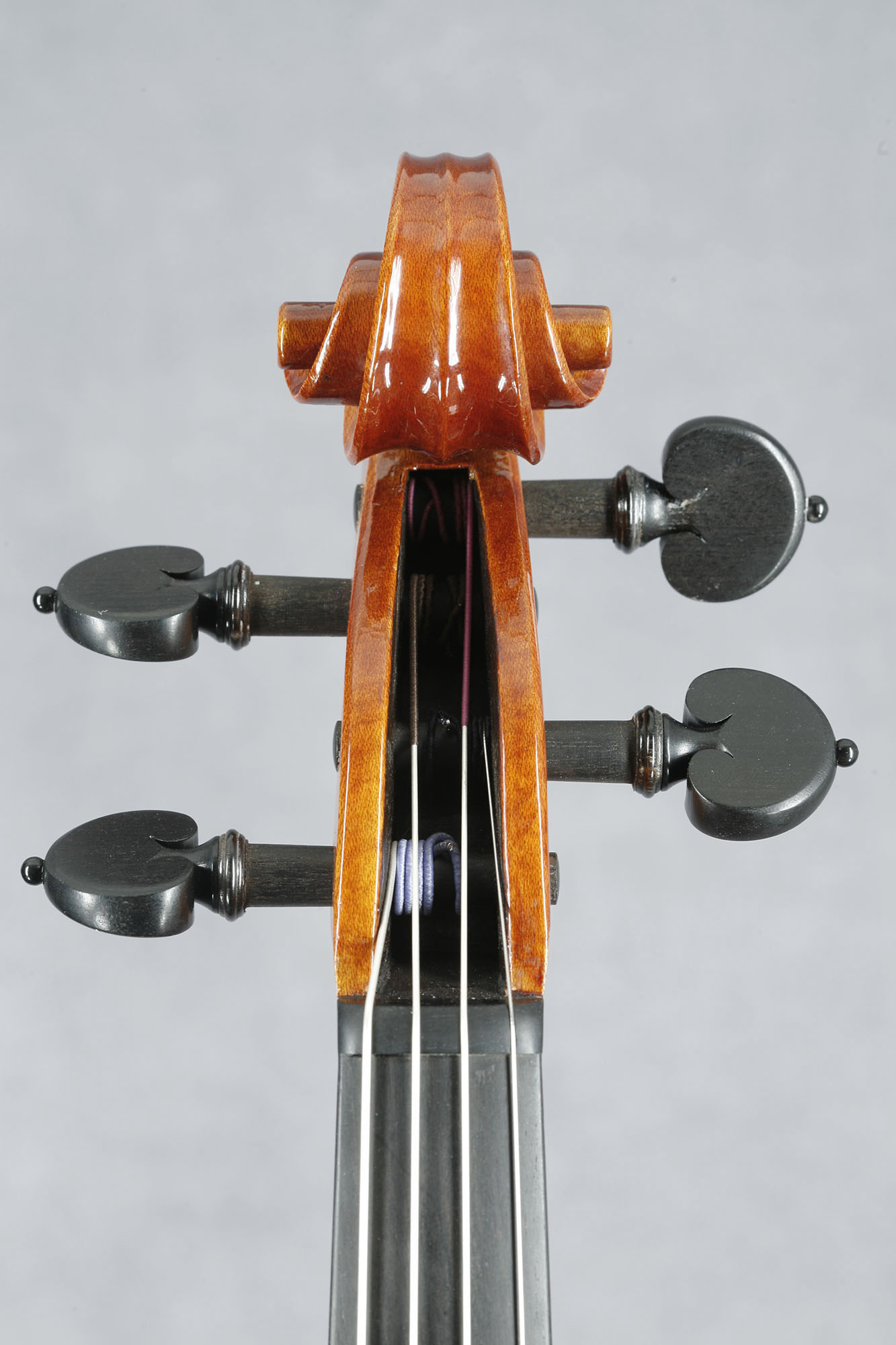 Cecilia González viola