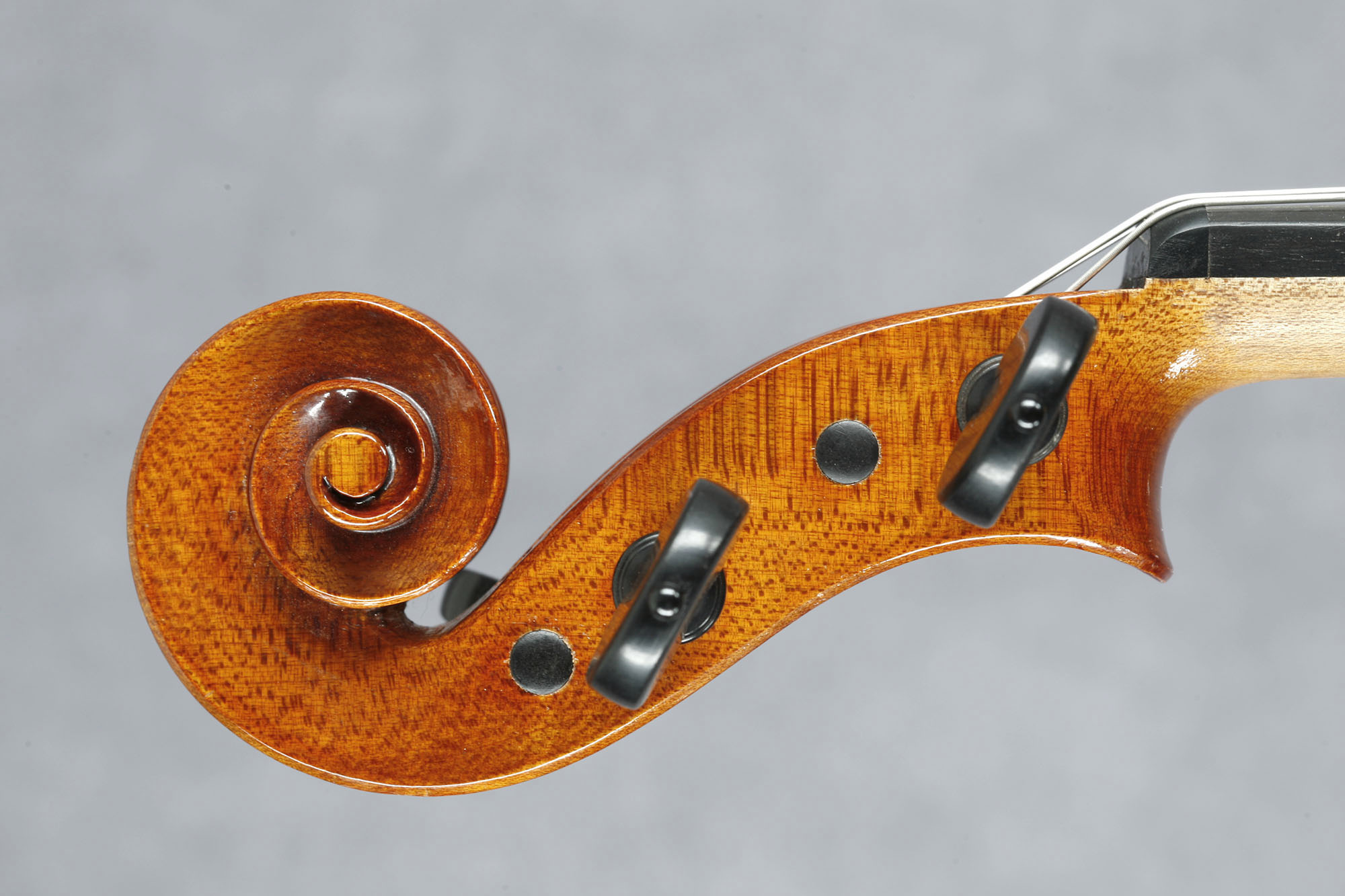 Cecilia González viola