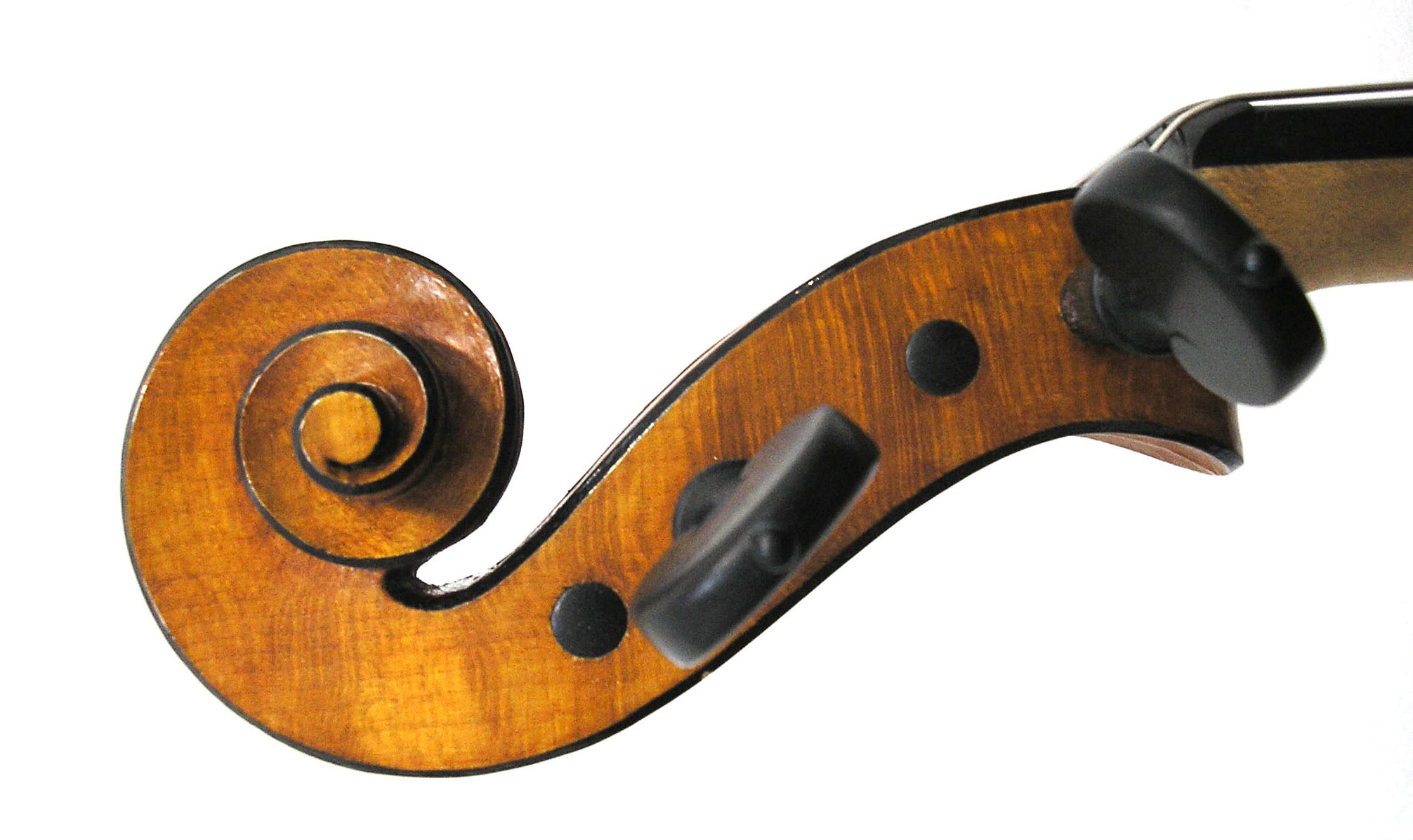 Cabeza violín