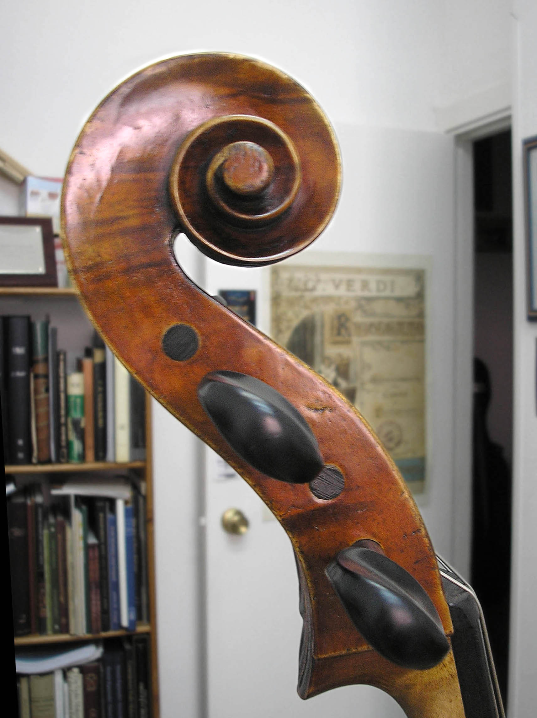 Carlo Carletti violoncello